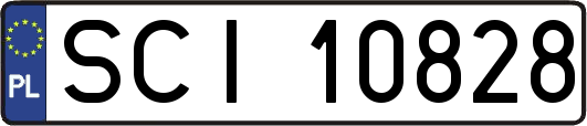 SCI10828