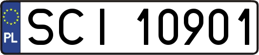 SCI10901
