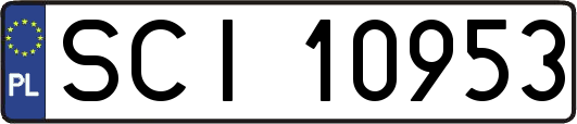 SCI10953