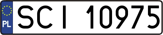 SCI10975