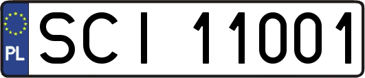 SCI11001
