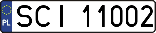 SCI11002
