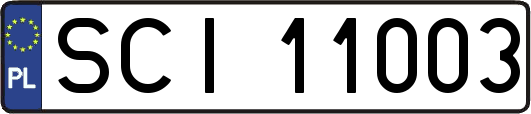 SCI11003