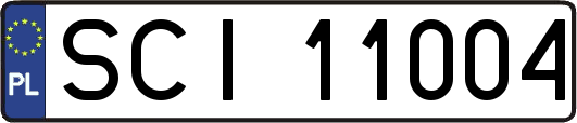 SCI11004