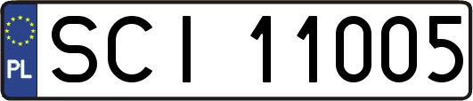 SCI11005