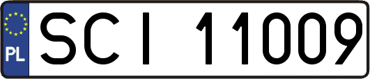 SCI11009