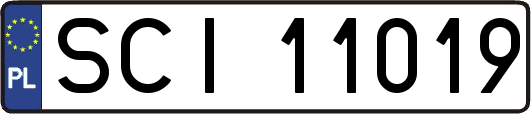 SCI11019