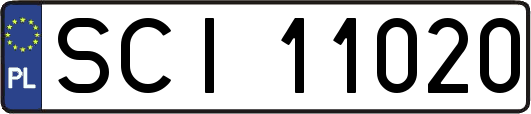 SCI11020