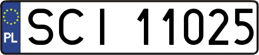 SCI11025