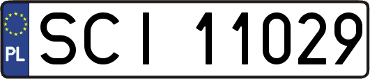 SCI11029