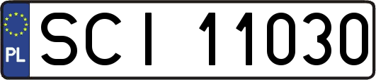 SCI11030