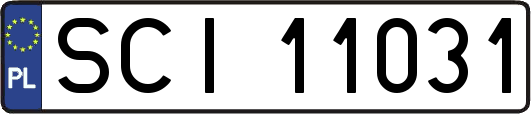 SCI11031