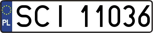 SCI11036