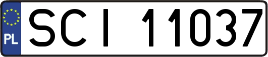 SCI11037