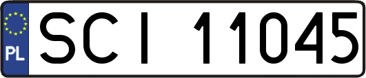 SCI11045