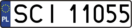 SCI11055