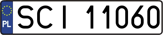 SCI11060