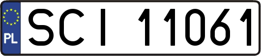 SCI11061