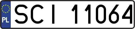 SCI11064