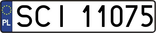 SCI11075