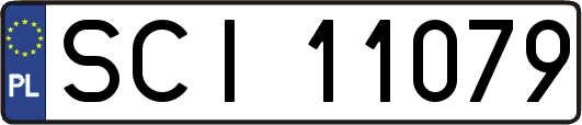 SCI11079