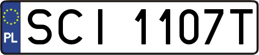SCI1107T