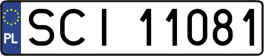 SCI11081