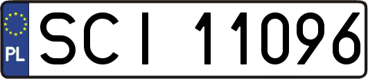 SCI11096