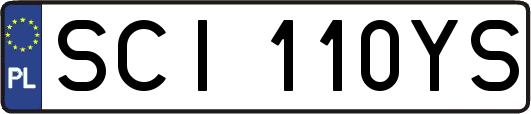 SCI110YS