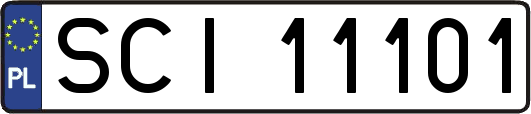 SCI11101