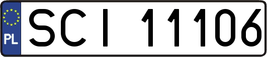 SCI11106