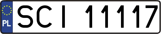 SCI11117