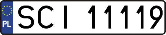 SCI11119
