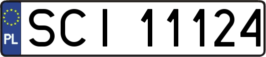 SCI11124