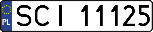 SCI11125