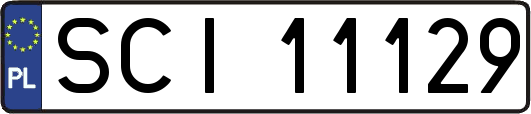 SCI11129
