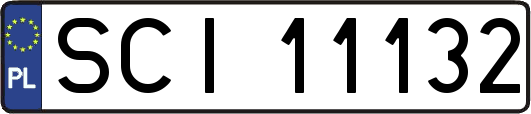 SCI11132