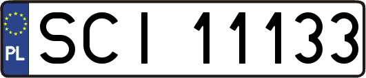 SCI11133