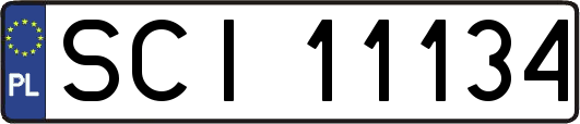 SCI11134