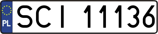 SCI11136