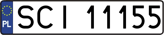 SCI11155