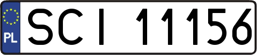 SCI11156