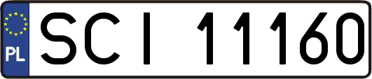 SCI11160