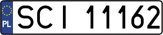 SCI11162