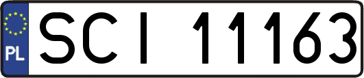 SCI11163