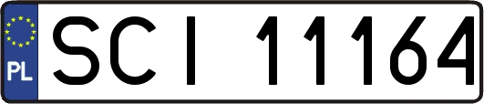 SCI11164