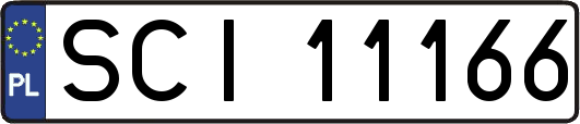 SCI11166