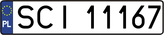 SCI11167
