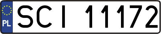 SCI11172