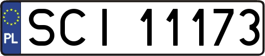 SCI11173
